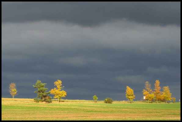Stromy a nebe (fotka od Miry)